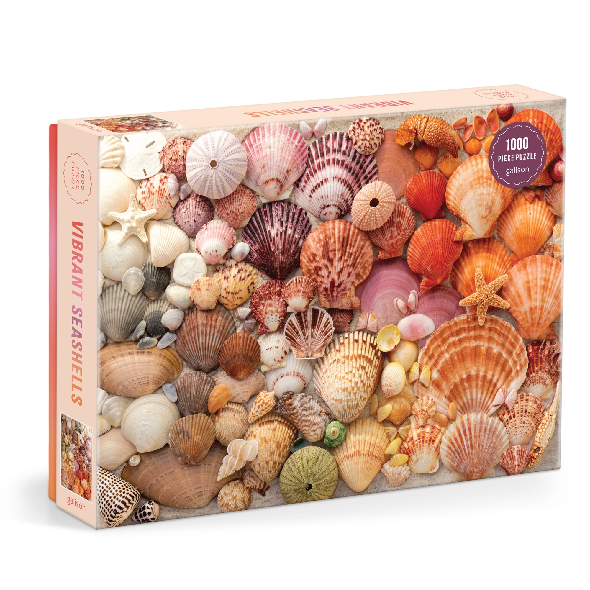 Seashell selling puzzle