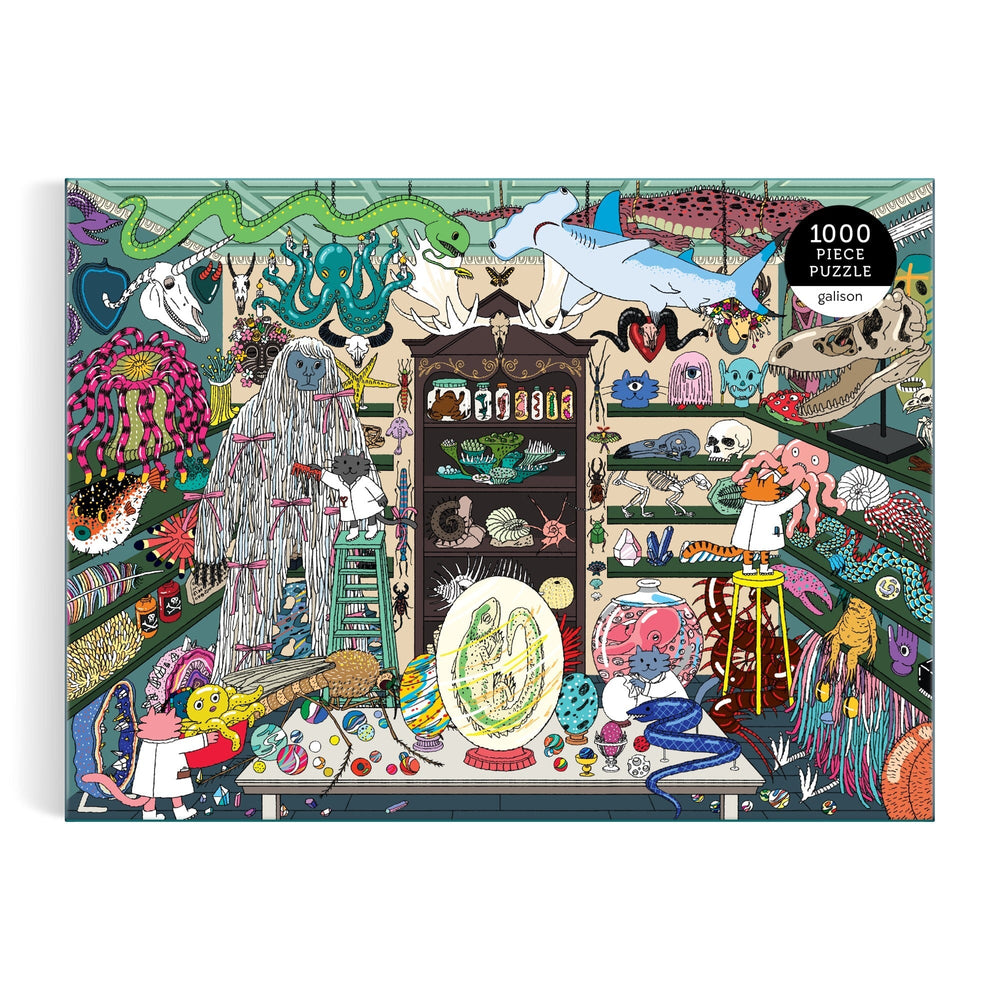 World of Curiosities 1000 Piece Puzzle Jigsaw Puzzle Hyesu Lee 