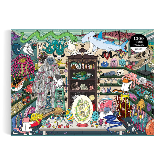 World of Curiosities 1000 Piece Puzzle Jigsaw Puzzle Hyesu Lee 