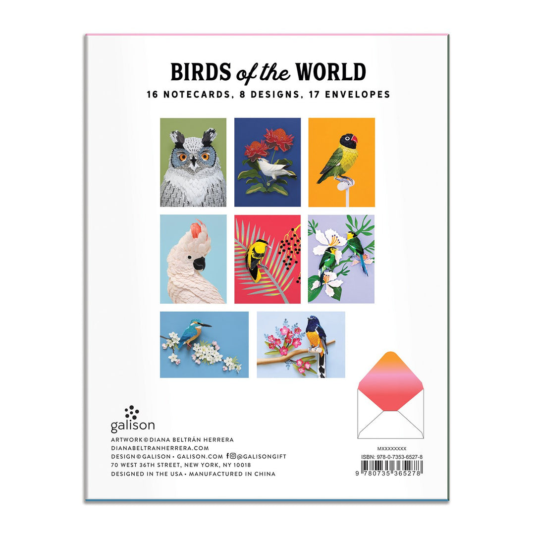 Birds of the World Greeting Card Assortment Greeting Cards Diana Beltran Herrera Collection 