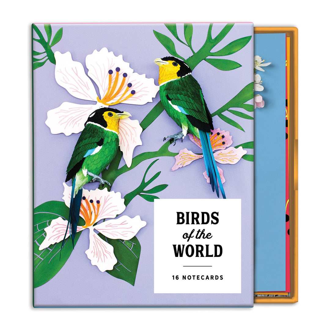 Birds of the World Greeting Card Assortment Greeting Cards Diana Beltran Herrera Collection 