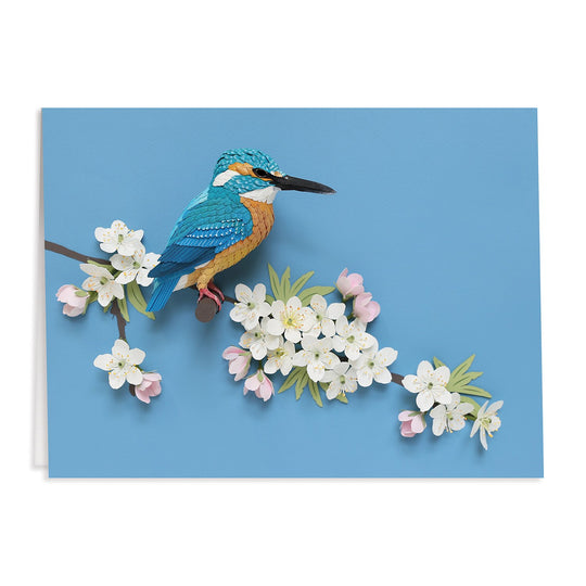 Birds of the World Greeting Card Assortment Greeting Cards Diana Beltran Herrera Collection 