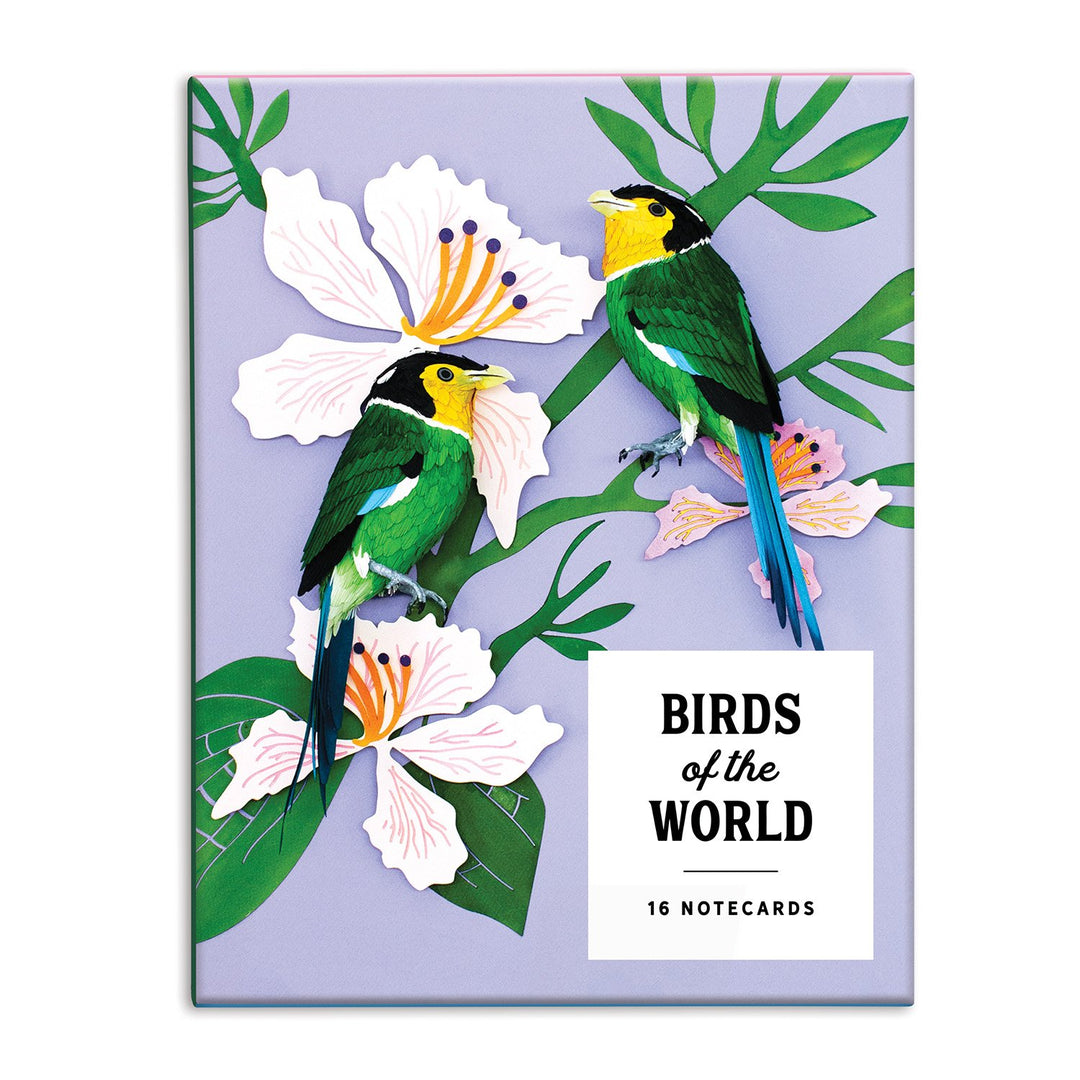 Birds of the World Greeting Card Assortment Greeting Cards Diana Beltran Herrera Collection 