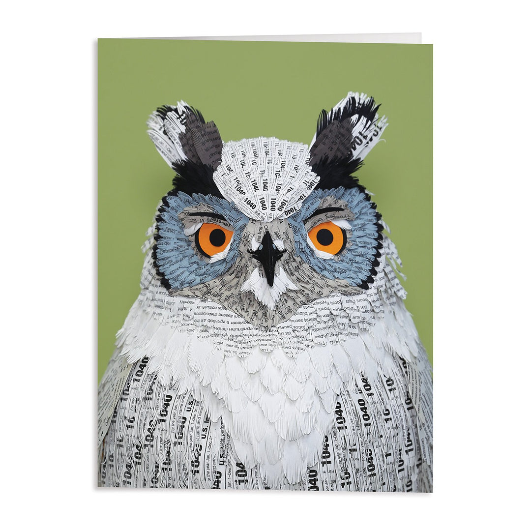 Birds of the World Greeting Card Assortment Greeting Cards Diana Beltran Herrera Collection 