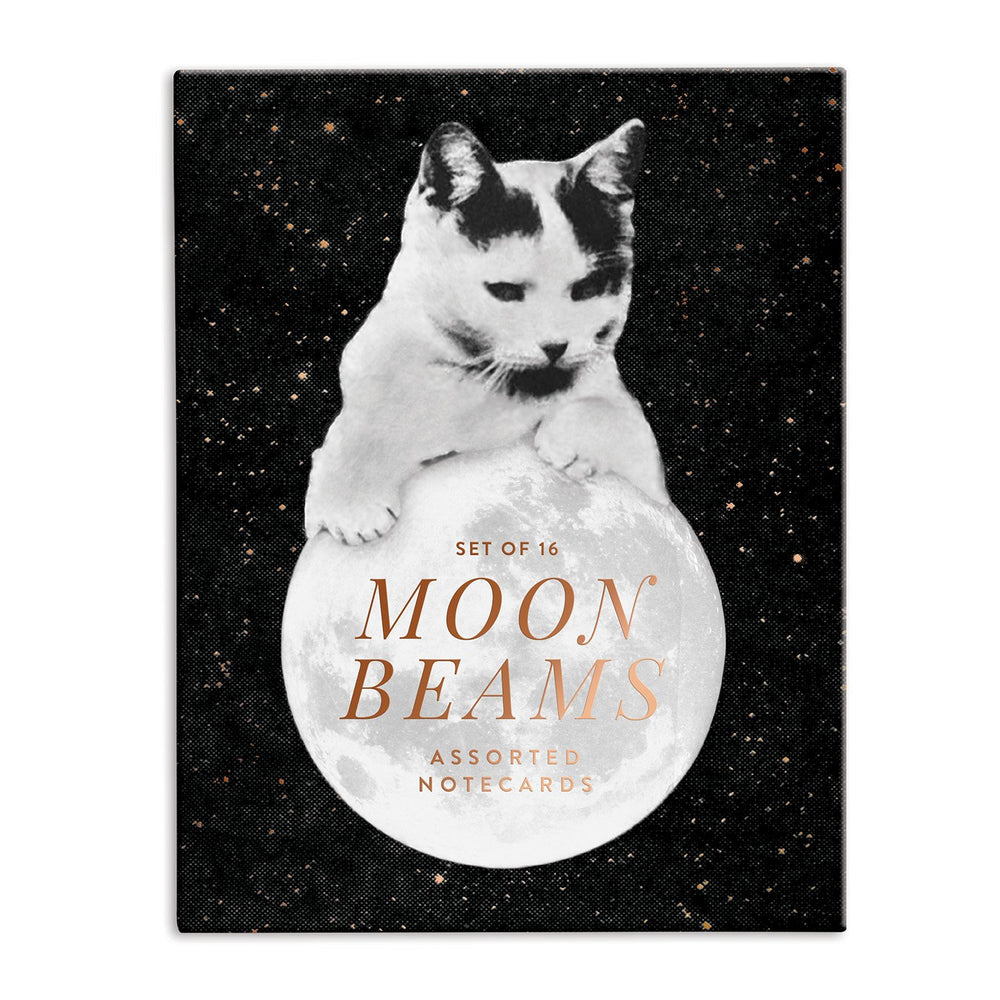 Moonbeams Greeting Card Assortment Greeting Cards Cosmos Collection 