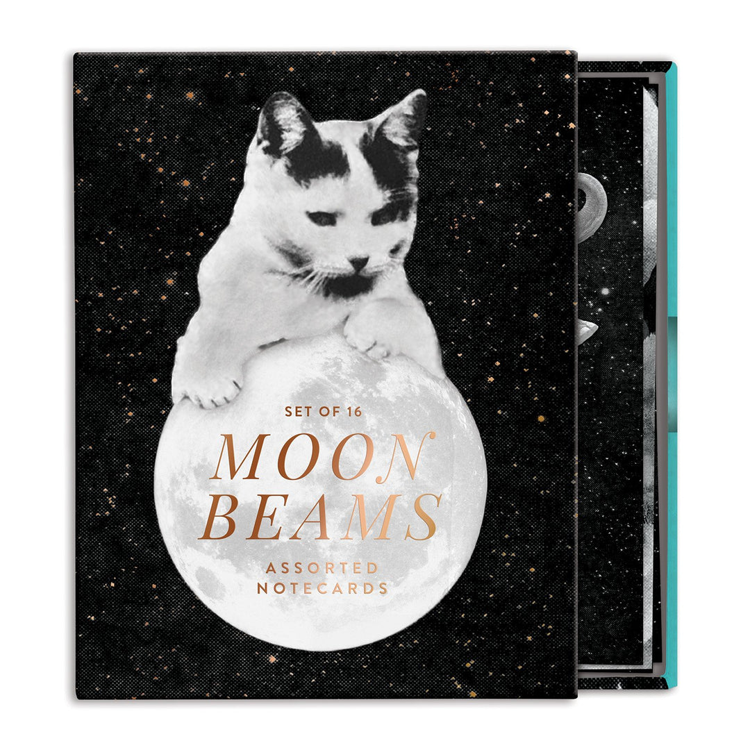 Moonbeams Greeting Card Assortment Greeting Cards Cosmos Collection 