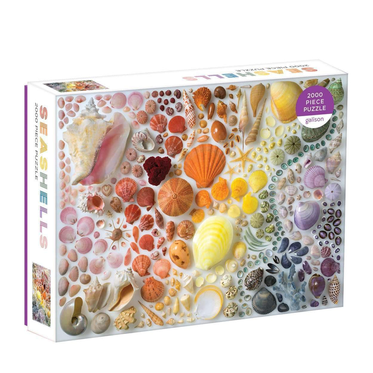 The Jigsaw Puzzle Factory Puzzle Glue, Multicolor