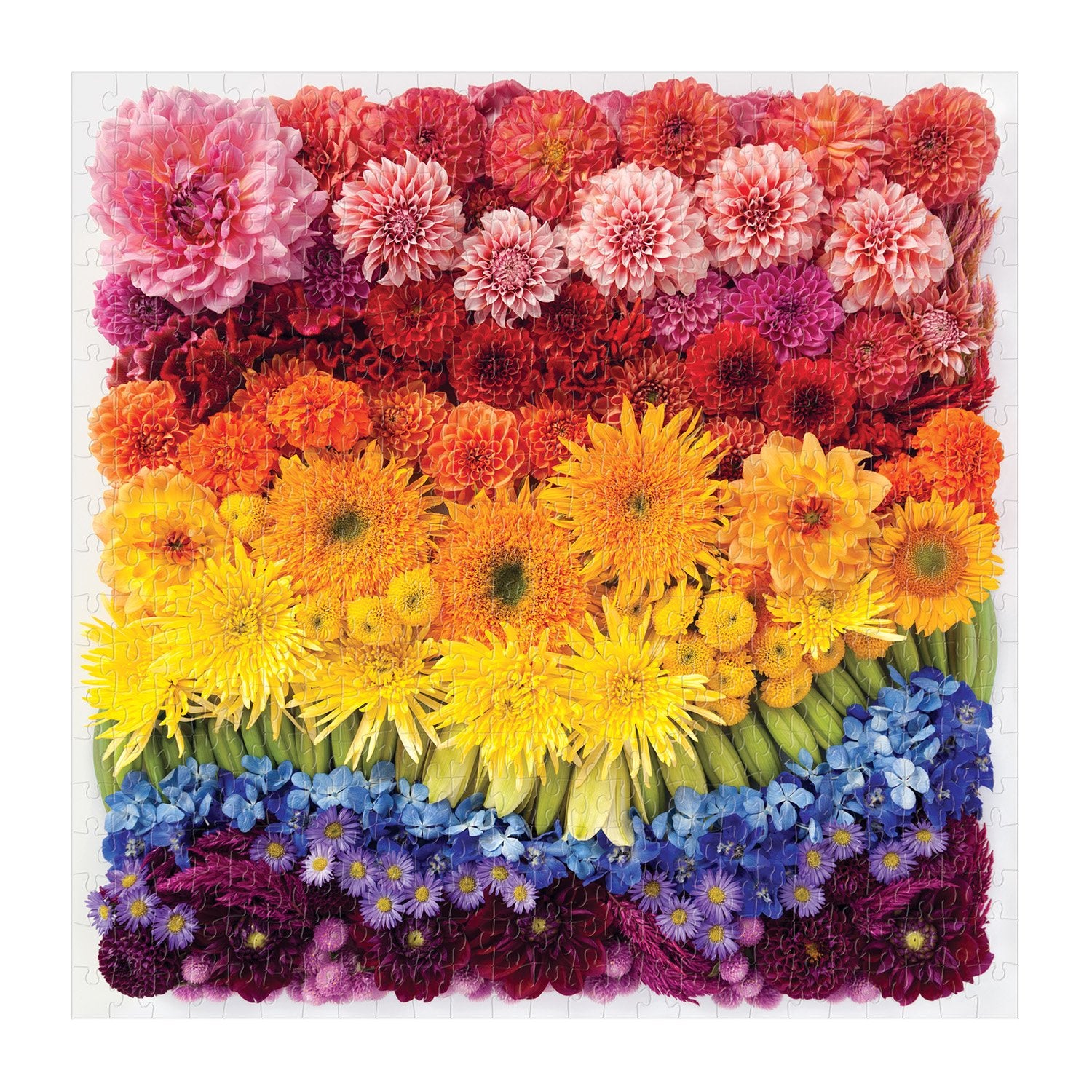Rainbow Summer Flowers 500 Piece |