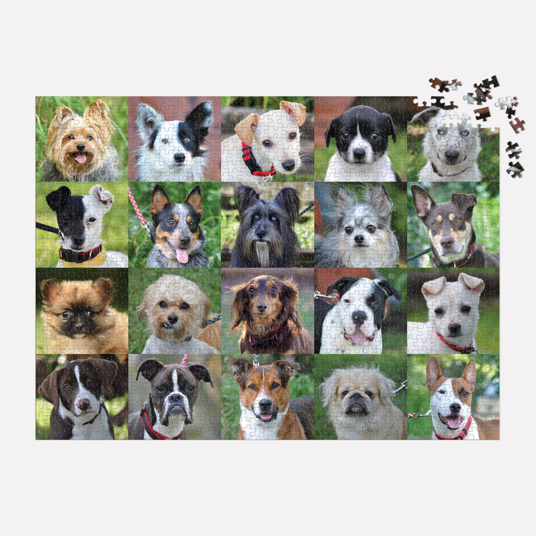 Rescue Dogs 1000 Piece Puzzle 1000 Piece Puzzles Danny & Ron's Rescue 