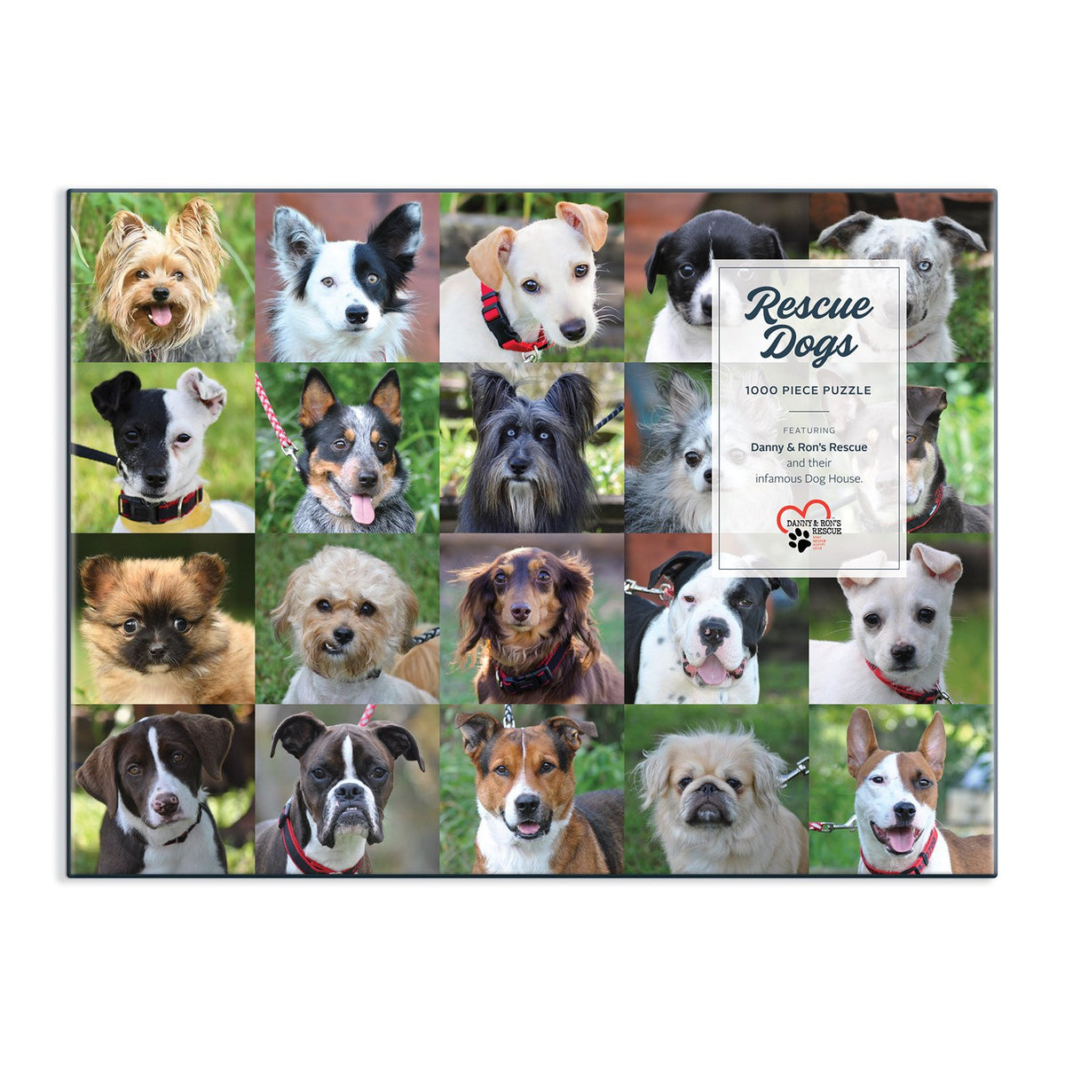 https://www.galison.com/cdn/shop/products/rescue-dogs-1000-piece-puzzle-1000-piece-puzzles-danny-rons-rescue-750860.jpg?v=1624327315&width=1200