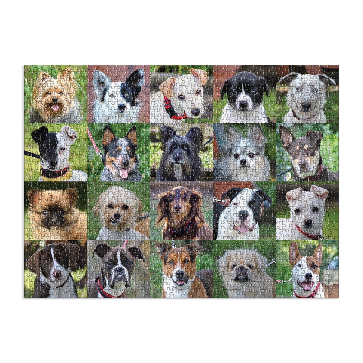 Dog clearance jigsaw puzzle