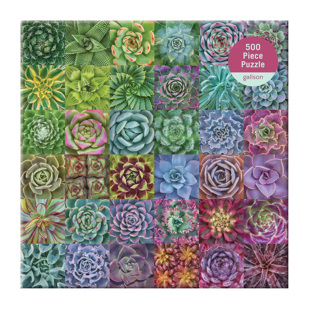 Succulent Spectrum 500 Piece Puzzle 500 Piece Puzzles Galison 